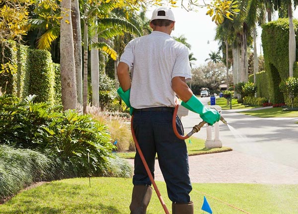 About Latta SC Pest Control Pros